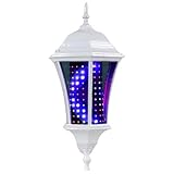 20" White Rome LED Barber Pole Porch Light Salon w/ Remote [並行輸入品]