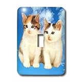 3dRose LLC lsp_4335_1 Two Kittens, Single Toggle Switch
