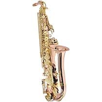 美品 PLAYTECH アルトサックス 付属品多数 PLAYTECHのクラリネット・サックス付属品リニューアル