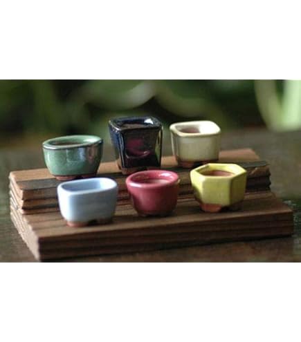 Amazon.co.jp: せともの市場 文山 1号 6点セット 豆鉢 色釉 箱入 和風