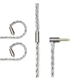 Amazon | 【国内正規品】Acoustune ARMシリーズ Pentaconn EAR Long