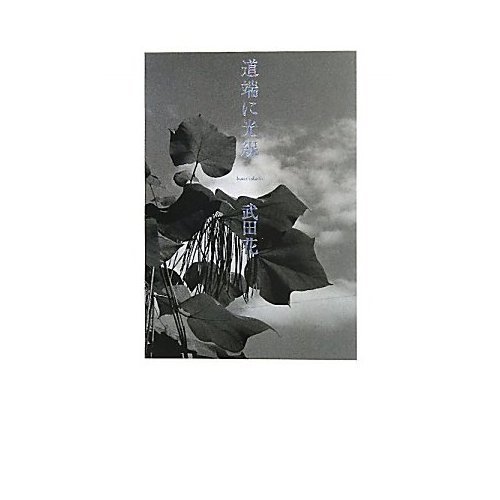 花闇 (中公文庫)