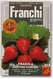 【輸入種子】 FRAGOLA QUATTRO STAGIONI 四季なりイチゴ FRANCHI SEMENTI（フランチ社）