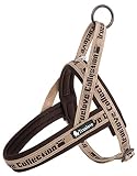 cocomall 喉に優しいハーネス 2022最新 TRUE LOVE日本授権店 犬用ハーネス 犬用胴輪 ドッグ ペット用品 3M反射材料 訓練 お出かけ ネオプラン素材 小型犬、中型犬、大型犬に向け 通気性 調節可能 夏に対応 (XXS, ブラウン)