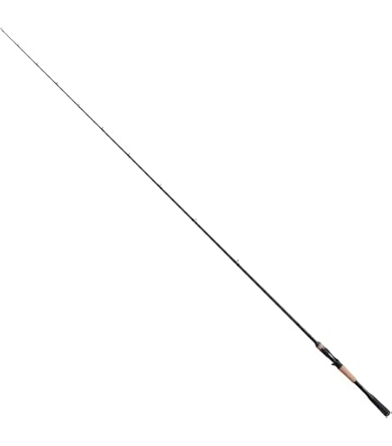 Amazon | シマノ(SHIMANO) ベイトロッド エクスプライド クランキング