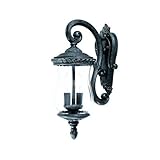 Alico Lighting 1172ST Acclaim Lighting Stone Finished Outdoor Sconce with Clear Melon Water Seeded G