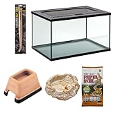 スドー レオパ 飼育 セット キット 爬虫類 ヤモリ ガラス ケージ スターターセット (エサ皿（天然石風）)