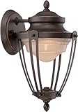 Nuvo Lighting 62/691 Cole - LED Outdoor Wall with Frosted Glass [並行輸入品]