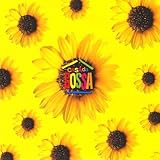 ザ・ボサノヴァ・マジック