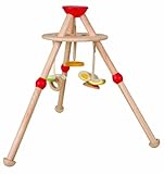 Plan Toys Planpreschool Activity Baby Gym
