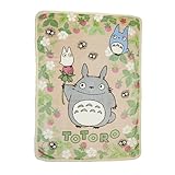 [丸眞] 毛布 いちご見つけた H200×W140cm