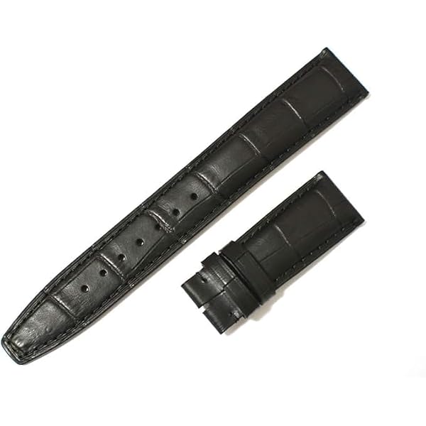 Amazon.co.jp: [輸入王オリジナル] IWCと互換性あり ポルトギーゼ用 本