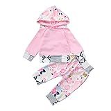 (プタス)Putars ベビー服 子供服 上下セット パーカー 女の子 花柄 ピンク 可愛い 秋 冬 旅行 記念日 プレゼント 3-18ヶ月