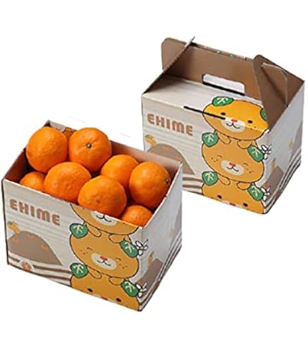 Amazon.co.jp: 【大幅値下げ！ 300円OFF！2280円→1980円！】こん太