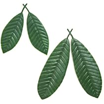 418o2ID5e2L._AC_UL210_SR210,