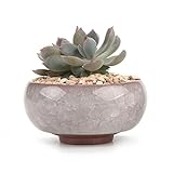 T4U 6.5CM 陶器ミ二植木鉢 氷裂紫砂シリーズ 多肉植物 サボテン鉢 フラワーポット プランター容器 灰色