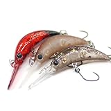 LUCKY CRAFT ラッキークラフト アンフェア 35F バックラッシュ別注カラー BL03きんぴらレッドG 35mm