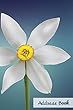 Address Book. (Flower Edition Vol. 28): Glossy and Soft Cover, Large Print, Font, 6" X 9" for Contacts, Addresses, Phone Numbers, Emails, Birthday and More.