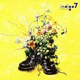 7min. indigo7