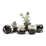 T4U 6CM 陶器鉢 流れ釉（3シェイプ）セット 黒底 植木鉢 多肉植物 サボテン鉢、花鉢 容器 ミ二植木鉢 6個入り