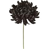 MAGIQ 東京堂 上質な 造花 月光の菊ピック #ブラック FM004140-020