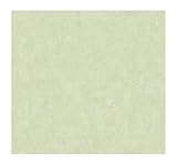York Wallcoverings JG0600SMP Casabella Overall Texture 8 X 10 Wallpaper Memo Sample, Mint Green [並行輸