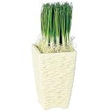 エフプランター 人工観葉植物-オニオングラス(小)-26-3号鉢-Pスクエア(WH)