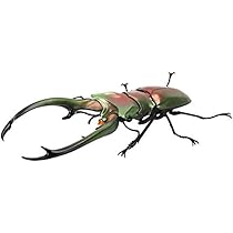 昆虫大図鑑、エラフスホソアカクワガタ、ギラファ等、ヘラクレスオオカブト 418sEHdrETL._AC_UL210_SR210,