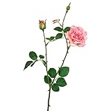 ローズスプレーX3(M) FXFR0009PNK