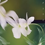 ひとりごと (通常盤) (特典なし)