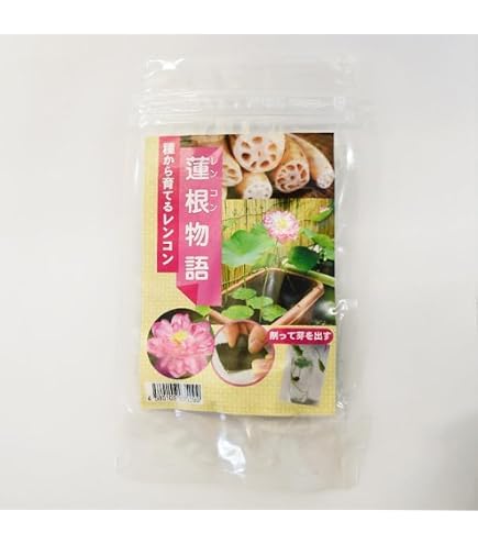 Amazon｜徳島レンコン苗4本 根付き｜観葉植物 オンライン通販