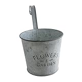 COVENT GARDEN アビー・ウォールポット L BU-09