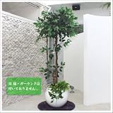 Funderful 人工観葉植物 光触媒 グリーンフィカス 160cm