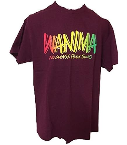 WANIMA - WANIMAエビバデツアーパーカーLサイズ。 WANIMA - WANIMA エビバデツアー パーカー L sizeの通販 by