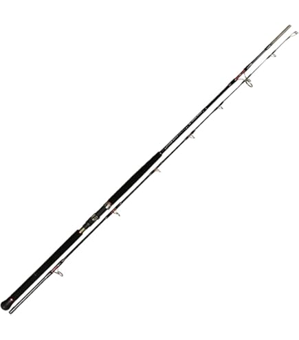 Amazon | ゼニス(ZENITH) SRI-94HD IRON MAN SRI-94HD (ストーム