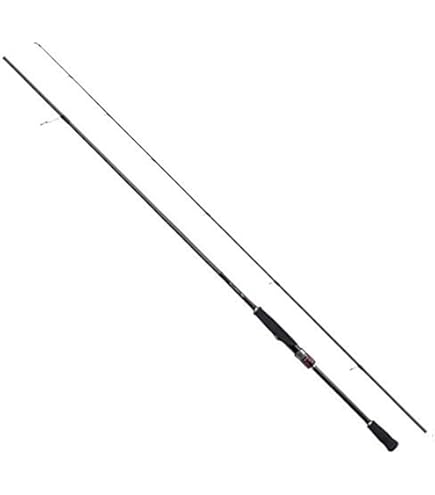 Amazon | ダイワ(DAIWA) ロッド 21 タチウオX M-180 | ダイワ(DAIWA 