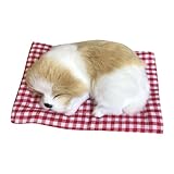 [idosla] ぬいぐるみ 大きい ふわふわ 抱き枕 かわいい 人気 萌えグッズ 肌触り良い 置物 飾り 用品 七夕 装飾 夏祭り お祭り