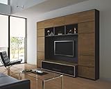 大建工業 収納 MiSEL LIVING PLAN7 開口2666mm FLK-HS007HW1 ウォールナット柄/ブラック 幅2666×奥行560（320）×高さ1975mm スタイリッシュ ファニ