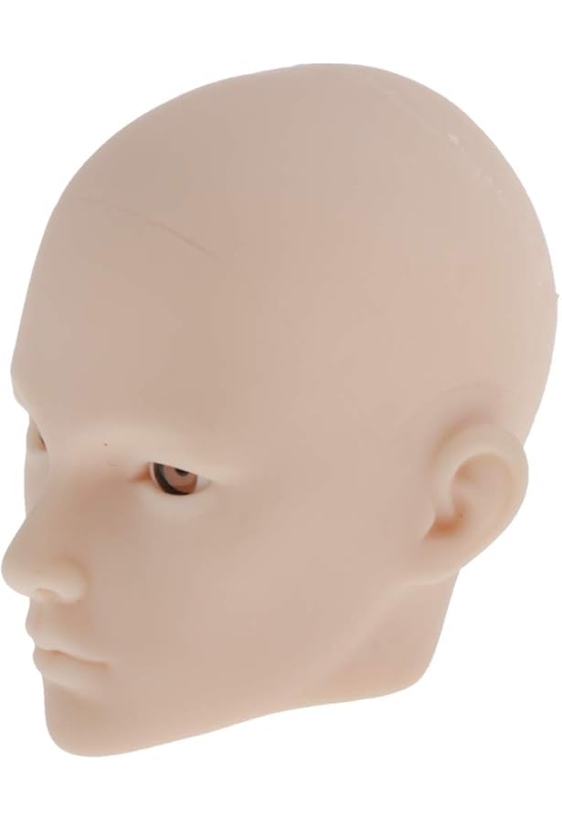 Amazon.co.jp: Z&L・DOLL 【Z&LDOLL】 1/6 フィギュア 素体 用 ヘッド