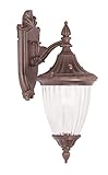 Livex Lighting 7781-58 Outdoor Wall Lantern with Clear Ribbed Glass Shades, Imperial Bronze [並行輸入品]