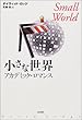 小さな世界―アカデミック・ロマンス
