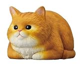 【7.香箱 茶トラ】もっちりころりん♪ ねこ