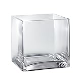 5 x 5 x 5 Square Clear Glass Cube Vase or Candle Holder [並行輸入品]