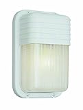 Trans Globe Lighting 41105 SAL 10-Inch 1-Light Outdoor Bulkhead, Satin Aluminum [並行輸入品]