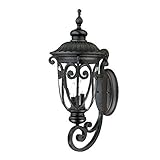 Acclaim 2121BK Naples Collection 3-Light Wall Mount Outdoor Light Fixture, Matte Black [並行輸入品]
