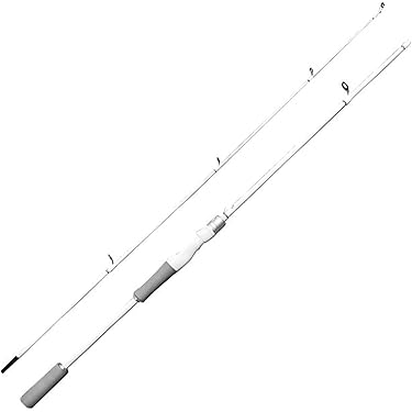 Amazon.co.jp 最新リリース: シーバスロッド の新着ランキングです。