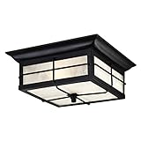 Westinghouse 6204800 Orwell 2 Light Outdoor Flush Mount Fixture, Textured Black [並行輸入品]