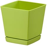 大和プラスチック 鉢・プランター クエンチローポット(プレート付) 5号 115×115×H120 グリーン