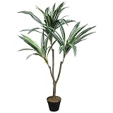 光触媒・人工観葉植物 ドラセナ(D)100cm 黒(鉢の色)