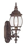 Livex Lighting 7900-58 Frontenac 1 Light Outdoor Wall Lantern, Imperial Bronze [並行輸入品]